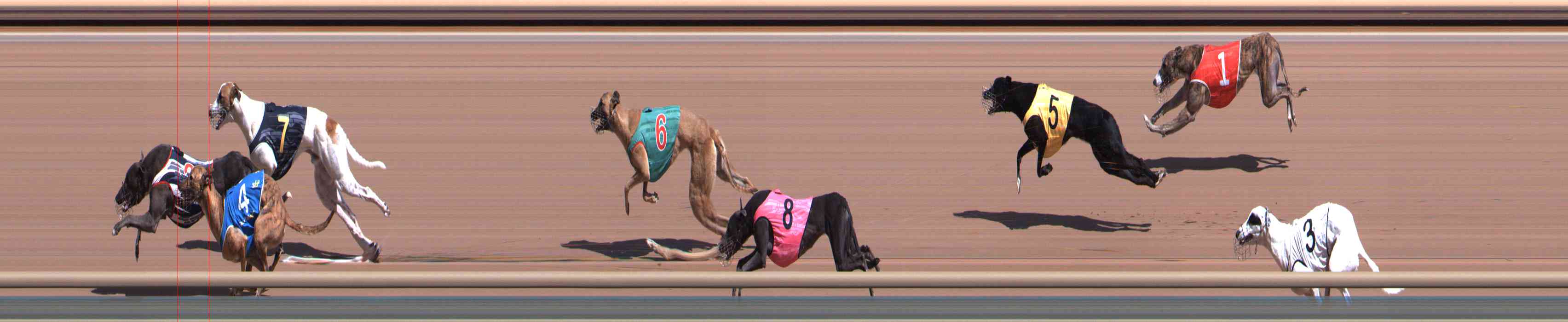 Race result finish photo